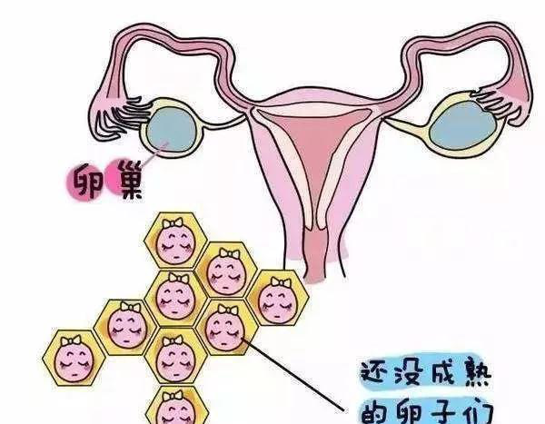 促排卵对试管周期有哪些影响